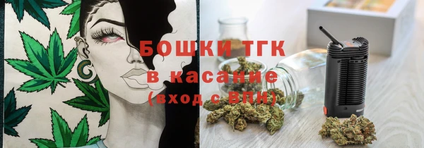 мдпв Тихвин