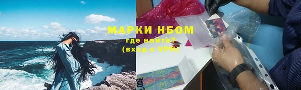 прущие грибы Дмитров