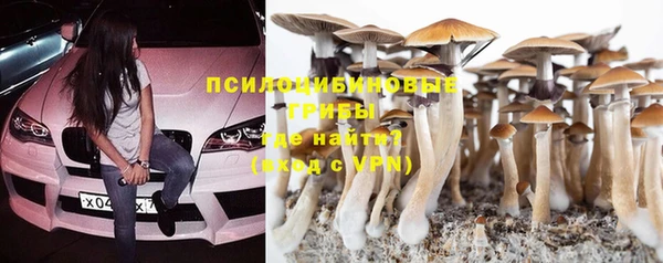 прущая мука Горно-Алтайск