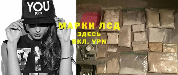 СК Елабуга