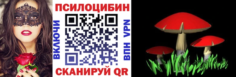 маркетплейс официальный сайт  Дальнереченск  Галлюциногенные грибы Cubensis 