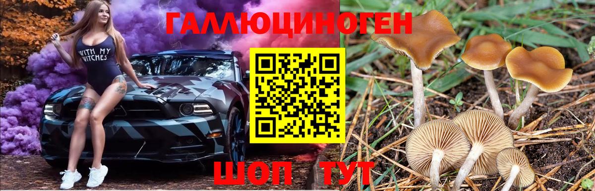 Дальнереченск  Галлюциногенные грибы GOLDEN TEACHER  Галлюциногенные грибы GOLDEN TEACHER  Вход с VPN 