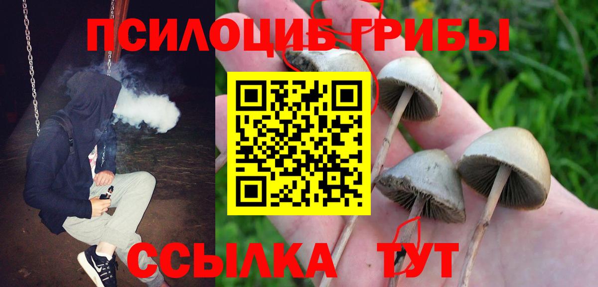Псилоцибиновые грибы прущие грибы Дальнереченск